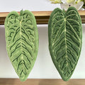 Two Pieces of Coral Fleece Imitation Leaf Hand Towels, Cute Leaf-Shaped Green Cloths, Thick Absorbent Towels, Portable Hanging Cleaning Cloths for Kitchen And Bathroom, Cleaning Handkerchiefs